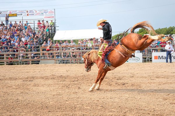 Entraînement en musculation à domicile vs. en salle : les pour et les contre